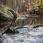 Piney River Pool, near Amherst, VA, 30in x 40in, 2018
